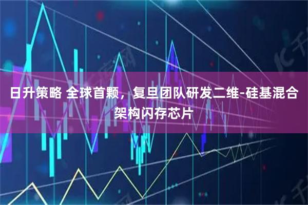 日升策略 全球首颗，复旦团队研发二维-硅基混合架构闪存芯片