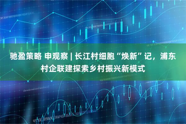 驰盈策略 申观察 | 长江村细胞“焕新”记，浦东村企联建探索乡村振兴新模式